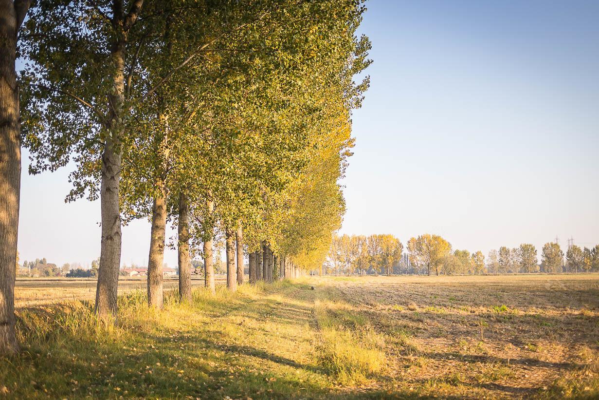 Cascina Gaggioli Villa Milano Exteriör bild